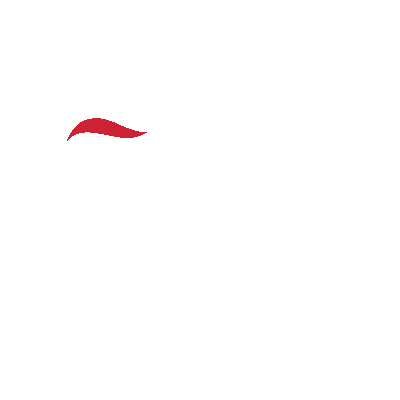 AIG Security